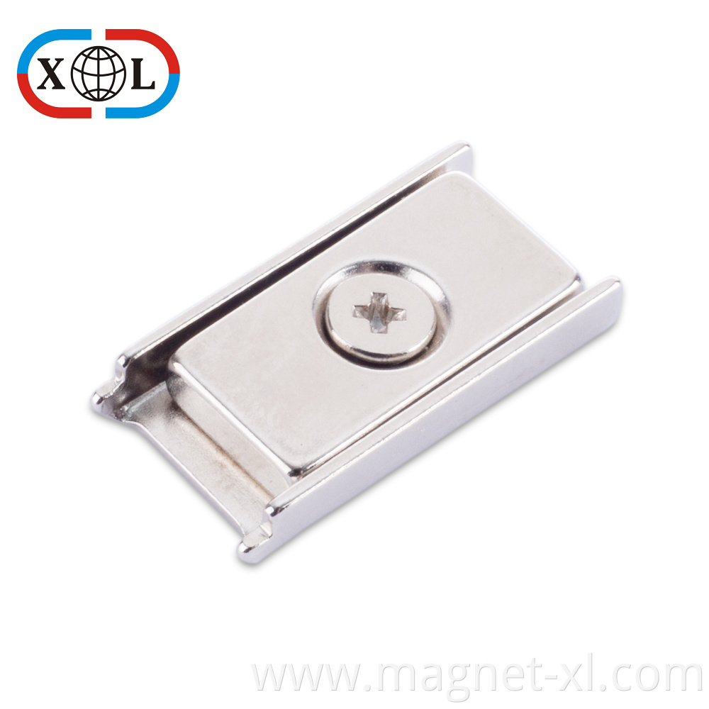 Magnetic Assemblies with Screw